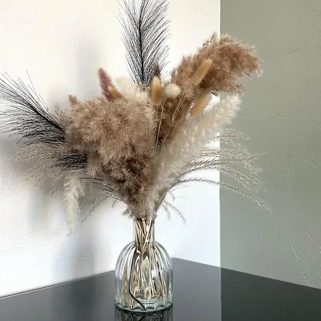 Apartment Lumineux Avec Balcon Caen