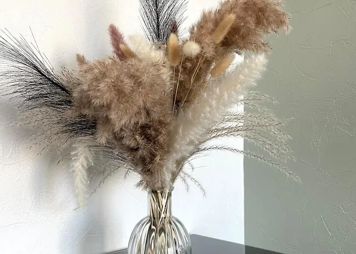 Apartment Lumineux Avec Balcon Caen